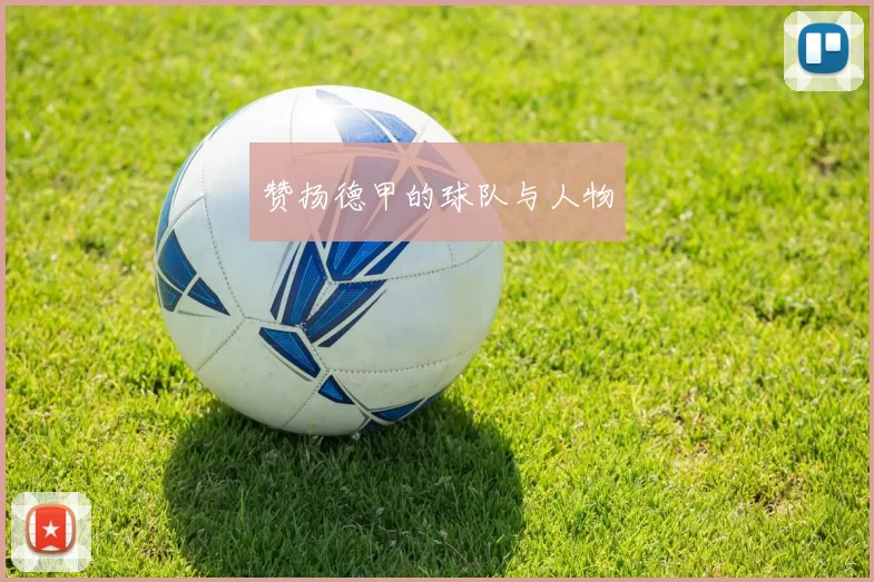 赞扬德甲的球队与人物