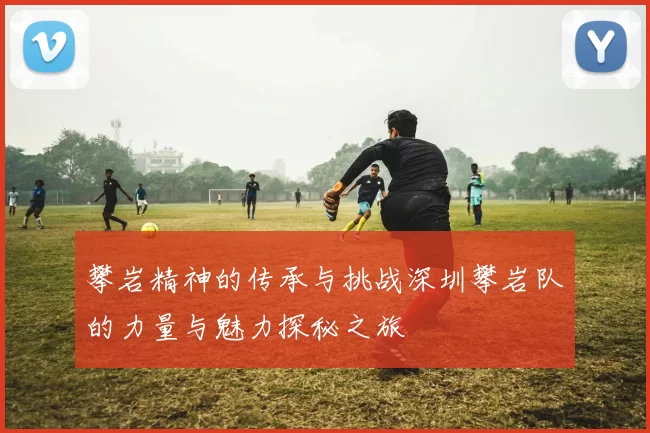 攀岩精神的传承与挑战深圳攀岩队的力量与魅力探秘之旅