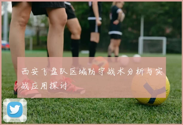 西安飞盘队区域防守战术分析与实战应用探讨