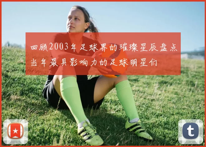 回顾2003年足球界的璀璨星辰盘点当年最具影响力的足球明星们