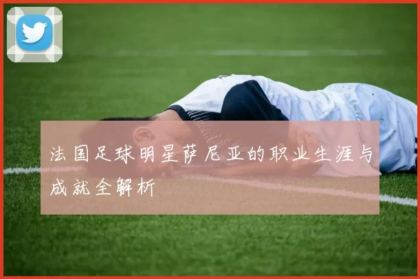 法国足球明星萨尼亚的职业生涯与成就全解析