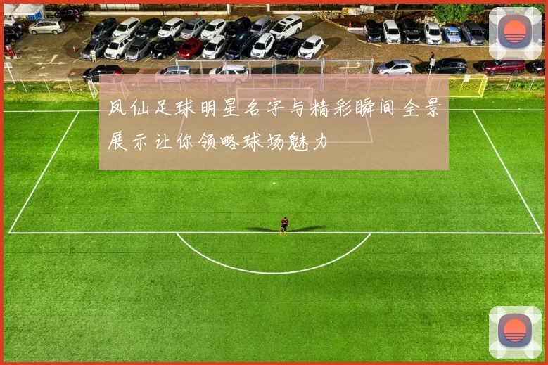 凤仙足球明星名字与精彩瞬间全景展示让你领略球场魅力