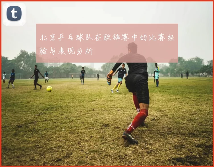北京乒乓球队在欧锦赛中的比赛经验与表现分析