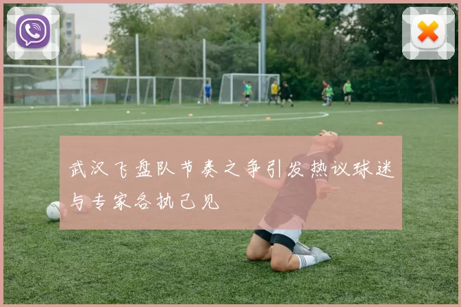 武汉飞盘队节奏之争引发热议球迷与专家各执己见