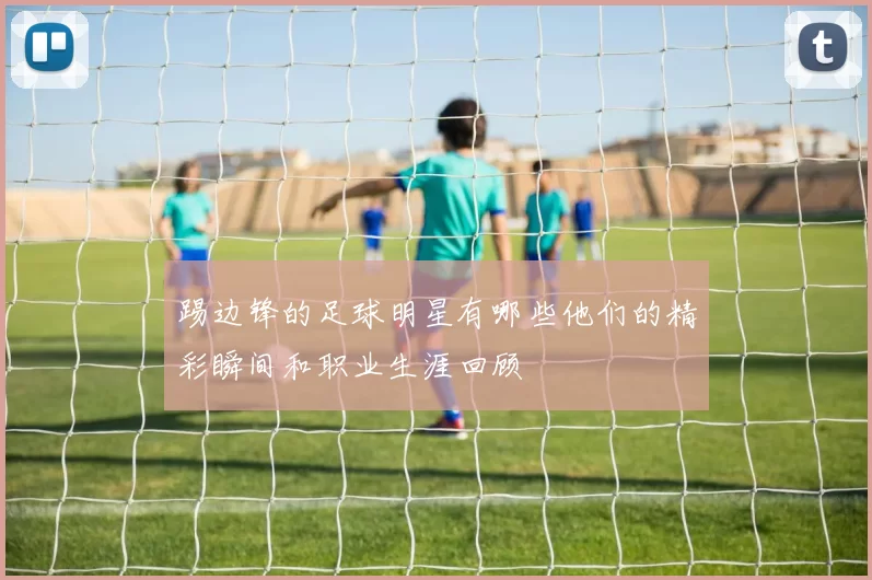 踢边锋的足球明星有哪些他们的精彩瞬间和职业生涯回顾
