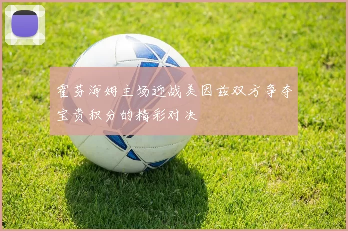 霍芬海姆主场迎战美因兹双方争夺宝贵积分的精彩对决