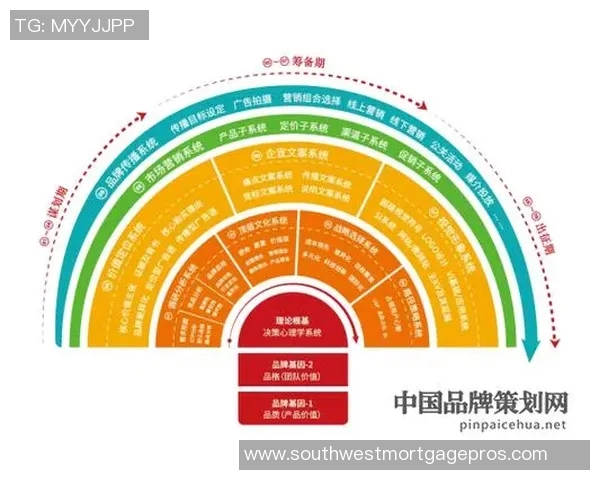 深入分析成都排球队的运营策略与市场推广模式